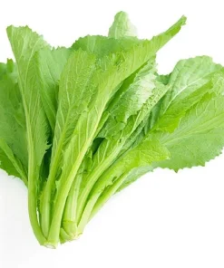 Green Leaf Mustard Seeds for Planting - 20g (2000 Seeds) - Asian Mustard Green - Image 1