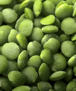 Green Lentil Seeds - 100 Lens Culinaris Vegetable Seeds for Garden - Image 4