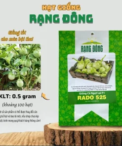 Green Thai Eggplant Seeds - 100 Seeds for Planting - Petch Siam Variety - Image 6