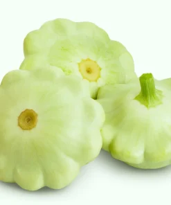 Green Tint Bush Scallop Squash Seeds - 20 Summer Vegetable Seeds - Image 1
