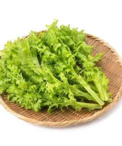 Green Wasabi Mustard Greens Seeds - 250 Seeds for Planting - Brassica Juncea - Image 3
