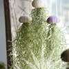 Hanging Air Plant Jellyfish – Tillandsia Home Décor Hanging Planter – Live Plant - Image 1