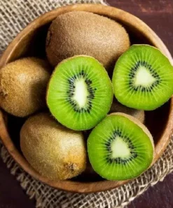 Hardy Kiwi Plants Live - Set of 2 Starter Vines 4-6 Inch, Fruit Vine for Garden - Image 3