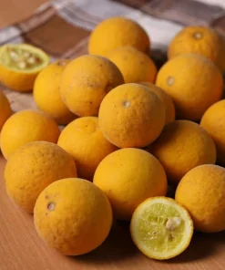 Hardy Orange Tree Seeds - Trifoliate Citrus Trifoliata Poncirus - 5 Seeds - Image 7