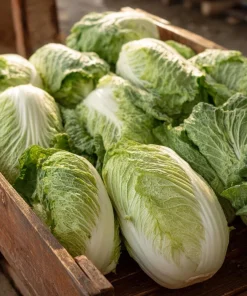 Heirloom Napa Cabbage Seeds – Chinese Cabbage, 100 Seeds, Easy-to-Grow - Image 1