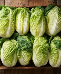 Heirloom Napa Cabbage Seeds – Chinese Cabbage, 100 Seeds, Easy-to-Grow - Image 3