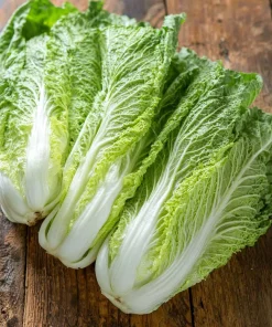 Heirloom Napa Cabbage Seeds – Chinese Cabbage, 100 Seeds, Easy-to-Grow - Image 5
