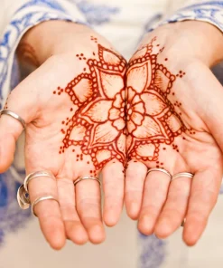 Henna Mehandi Dye Plant Seeds - Lawsonia Inermis for Natural Tattoo & Hair Dye - Image 10