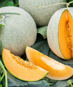 Iroquois Cantaloupe Melon Seeds – 200 Seeds – Sweet, Juicy Fruit – Full Sun - Image 3