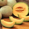 Iroquois Cantaloupe Melon Seeds – 200 Seeds – Sweet, Juicy Fruit – Full Sun - Image 1