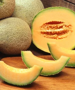 Iroquois Cantaloupe Melon Seeds – 200 Seeds – Sweet, Juicy Fruit – Full Sun - Image 1