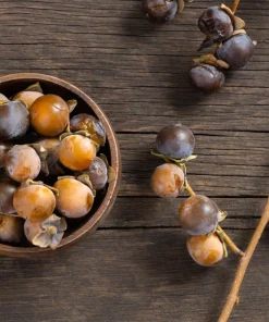 Italian Persimmon Seeds - Dateplum Fruit Tree Seeds (Diospyros Lotus) - 10 Seeds - Image 12