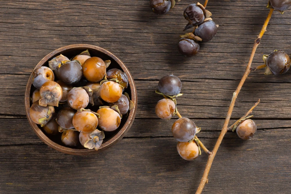 Italian Persimmon Seeds - Dateplum Fruit Tree Seeds (Diospyros Lotus) - 10 Seeds - Image 12