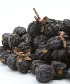Italian Persimmon Seeds - Dateplum Fruit Tree Seeds (Diospyros Lotus) - 10 Seeds - Image 13
