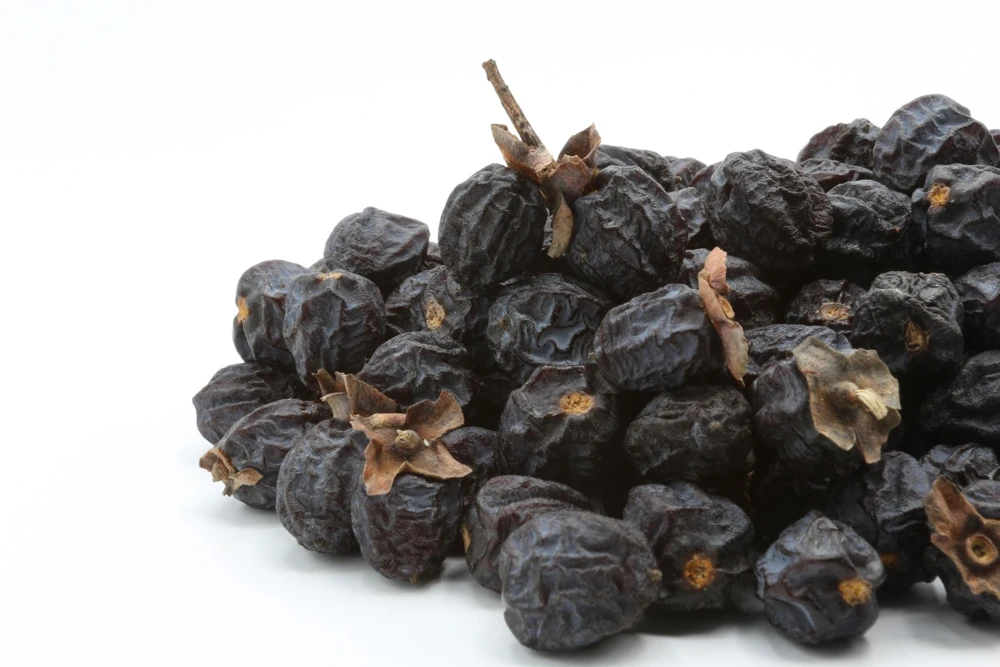 Italian Persimmon Seeds - Dateplum Fruit Tree Seeds (Diospyros Lotus) - 10 Seeds - Image 13
