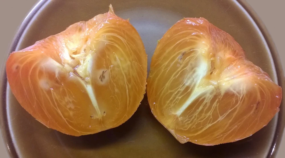 Italian Persimmon Seeds - Dateplum Fruit Tree Seeds (Diospyros Lotus) - 10 Seeds - Image 7