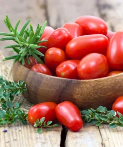 Italian Roma Tomato Seeds - 500 Count Vegetable Seeds for Sauce & Canning - Image 7