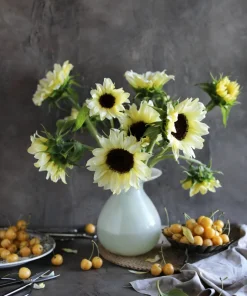Italian White Sunflower Seeds - Helianthus Debilis - 25 Seeds - Creamy Yellow Flower - Image 5