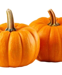 Jack Be Little Pumpkin Seeds - 20 Miniature Vegetable Cucurbita Pepo Seeds for Decor & Eating - Image 4