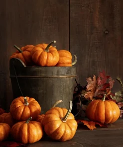Jack Be Little Pumpkin Seeds - 20 Miniature Vegetable Cucurbita Pepo Seeds for Decor & Eating - Image 6