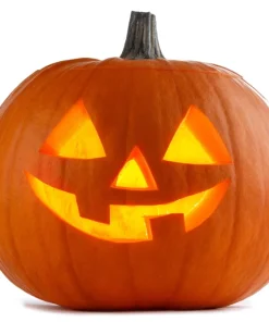 Jack O' Lantern Pumpkin Seeds - 50 Count, Cucurbita Maxima for Carving & Baking - Image 3