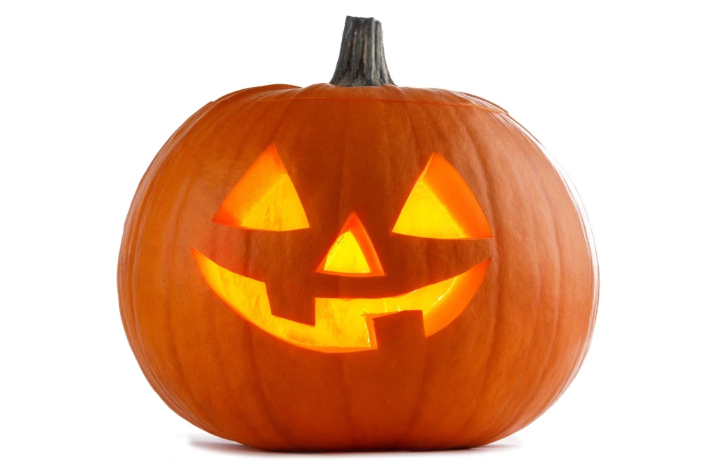 Jack O' Lantern Pumpkin Seeds - 50 Count, Cucurbita Maxima for Carving & Baking - Image 3