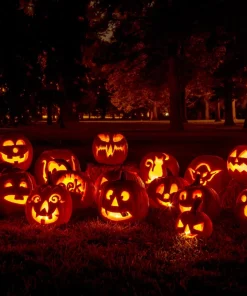 Jack O' Lantern Pumpkin Seeds - 50 Count, Cucurbita Maxima for Carving & Baking - Image 1