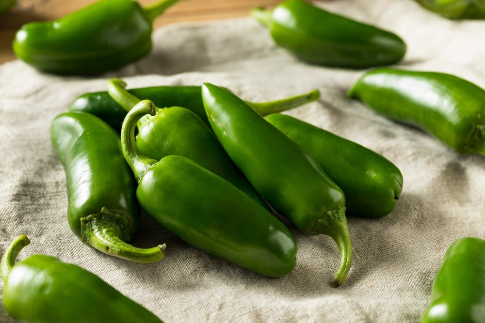Jalapeno Pepper Seeds - 400 Count Hot Chili Vegetable Seeds - Image 1