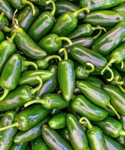 Jalapeno Pepper Seeds - 400 Count Hot Chili Vegetable Seeds - Image 7