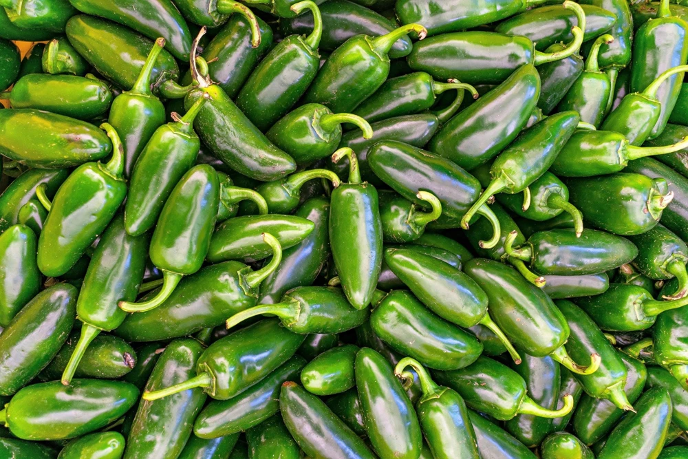 Jalapeno Pepper Seeds - 400 Count Hot Chili Vegetable Seeds - Image 7