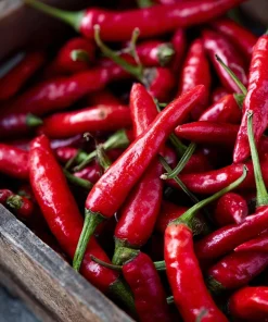 Japanese Sapporo Hot Pepper Seeds - 20 Count, Compact, Spicy Chili - Image 2