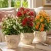 Jasmine Live Plants 3-Pack – White, Red, Orange Bloom – 4-8 Inch Tall - Image 1