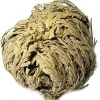 Jericho Flower (1 pc) Resurrection Plant - Green & Rose - Selaginella lepidophylla - Image 1
