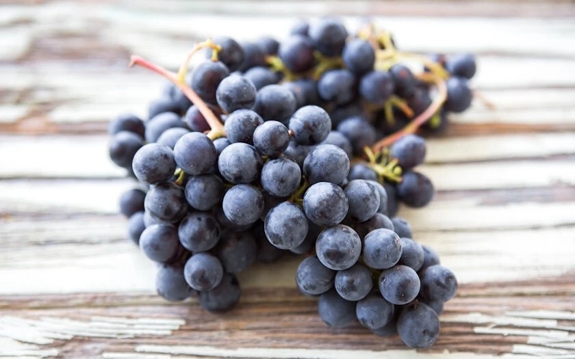 Jupiter Seedless Grape Vine Live Plant - 1-2 Year Old - Outdoor, Blue - Image 2