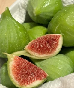 Kadota Fig Tree Live Plant - Ficus carica - 5-9" Tall - Sweet Edible Fruit - Zone 7-10 - Image 2