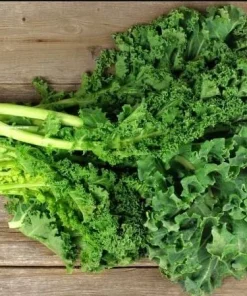 Kailaan Seeds - 500 Seeds - Big Stem Broccoli Kale for Planting - Image 6