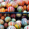 Kajari Melon Seeds - 50 Heirloom Easy Grow Melon Seeds - Image 1