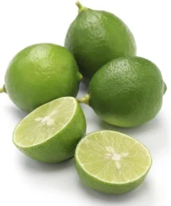 Key Lime Tree Live Plant - 2-5 Inch Tall Potted Citrus aurantifolia - Image 5