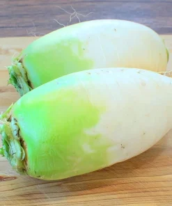 Korean Radish Seeds 30 Pack – Cheong Du Hybrid for Kimchi & Gardens - Image 3