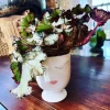 Large Begonia Live Plant – Colorful Indoor Houseplant in 6 Inch Ceramic Pot - Image 1