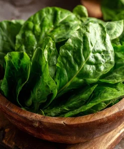 Large Leaf Sorrel Seeds - 200 Heirloom Herb Seeds for Tangy Greens - Image 4