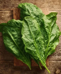 Large Leaf Sorrel Seeds - 200 Heirloom Herb Seeds for Tangy Greens - Image 5