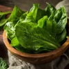 Large Leaf Sorrel Seeds - 200 Heirloom Herb Seeds for Tangy Greens - Image 1