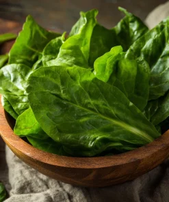 Large Leaf Sorrel Seeds - 200 Heirloom Herb Seeds for Tangy Greens - Image 1