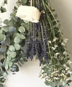 Lavender & Eucalyptus Live Plant – Fragrant Aromatic Herb for Home & Garden - Image 2