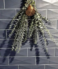 Lavender & Eucalyptus Live Plant – Fragrant Aromatic Herb for Home & Garden - Image 3