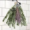 Lavender & Eucalyptus Live Plant – Fragrant Aromatic Herb for Home & Garden - Image 1