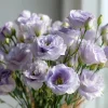 Lavender Lisianthus Seeds - Pale Lavender Eustoma Grandiflorum - 25 Seeds - Image 1