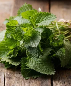 Lemon Balm Seeds - Melissa officinalis - 150 Seed Pack - Fragrant Tea Herb - Image 2