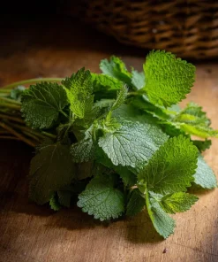 Lemon Balm Seeds - Melissa officinalis - 150 Seed Pack - Fragrant Tea Herb - Image 5